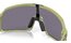 Oakley Sutro S Matte Fern - Prizm Grey