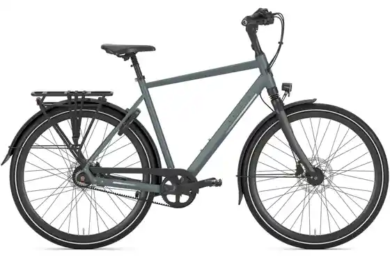 Gazelle Chamonix - Gazelle Chamonix S8 - 28 Zoll - Diamant - 2026