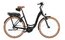 Riese und M&uuml;ller Swing5 silent - 500 Wh - 28 Zoll - Tiefeinsteiger - 2026