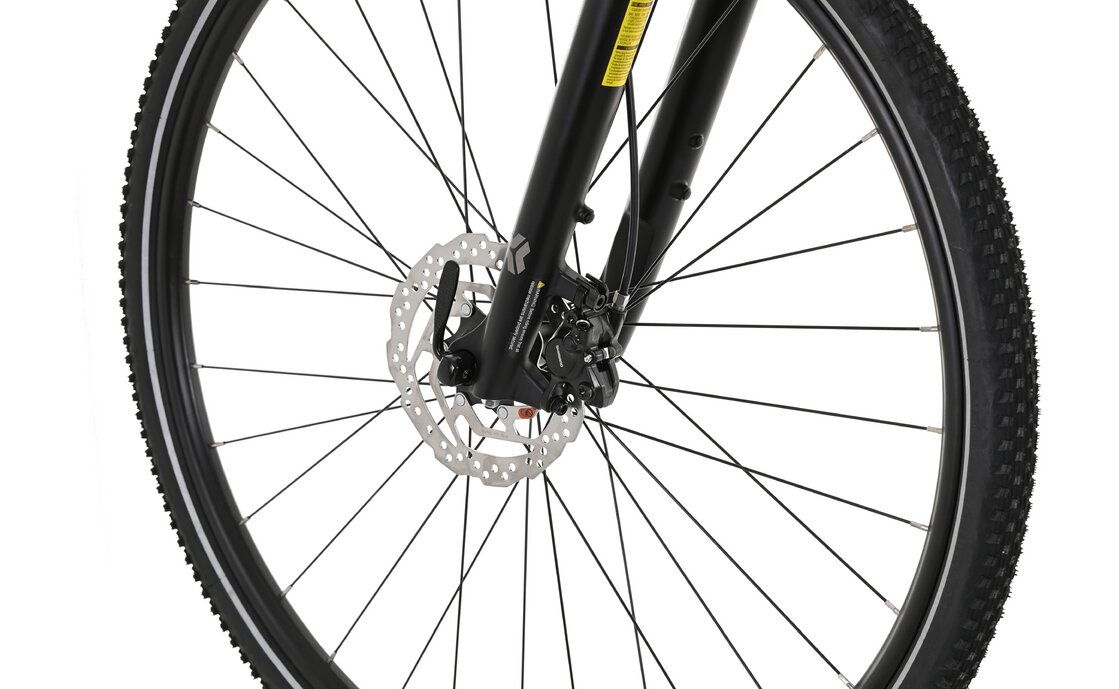 Carver Cinos 110 - 28 Zoll - Damen Sport - 2024