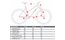 Carver Route 120 - 28 Zoll - Damen Sport - 2024