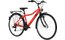 Bellini Carlo 21 - 26 Zoll - Diamant - 2024