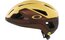 Oakley ARO3 Endurance