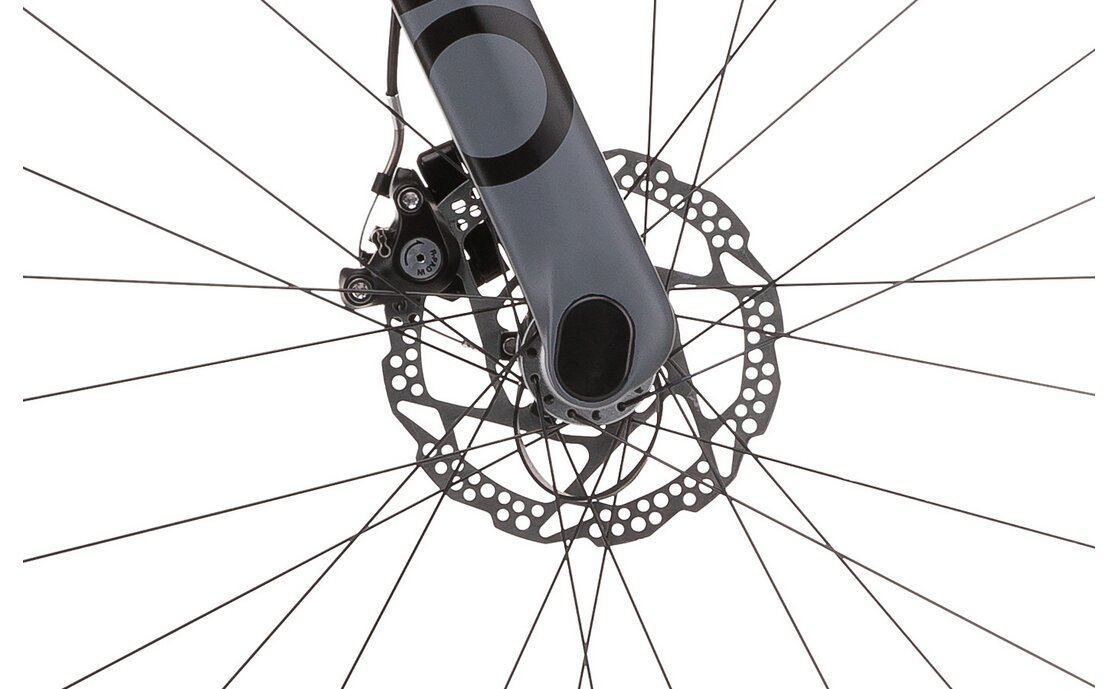 Rondo Hvrt AL Road Plus - 28 Zoll - Diamant - Aktion