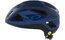 Oakley ARO3 Endurance