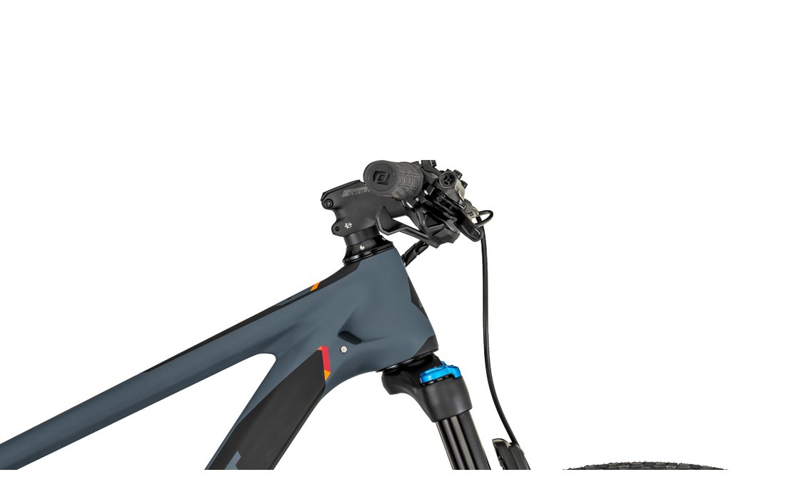 bergamont revox pro carbon