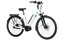 Carver Cityzen E.410 RT - 400 Wh - 28 Zoll - Tiefeinsteiger - Aktion