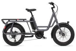 Benno Bikes RemiDemi 9D XL - 545 Wh - 20 Zoll - Longtail - 2024