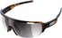 tortoise brown