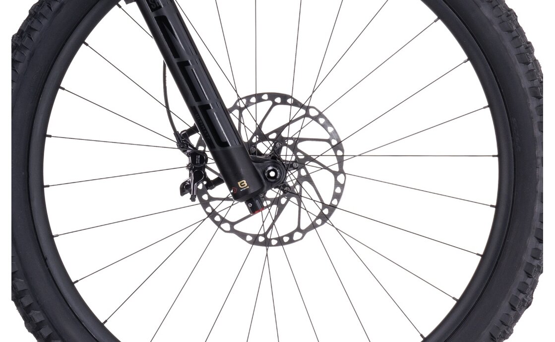 Cube Stereo ONE77 Race 29 - 29 Zoll - Fully - 2023