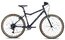 Academy Grade 6 Edition - 26 Zoll - Diamant - 2025