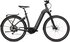 anthracite gloss