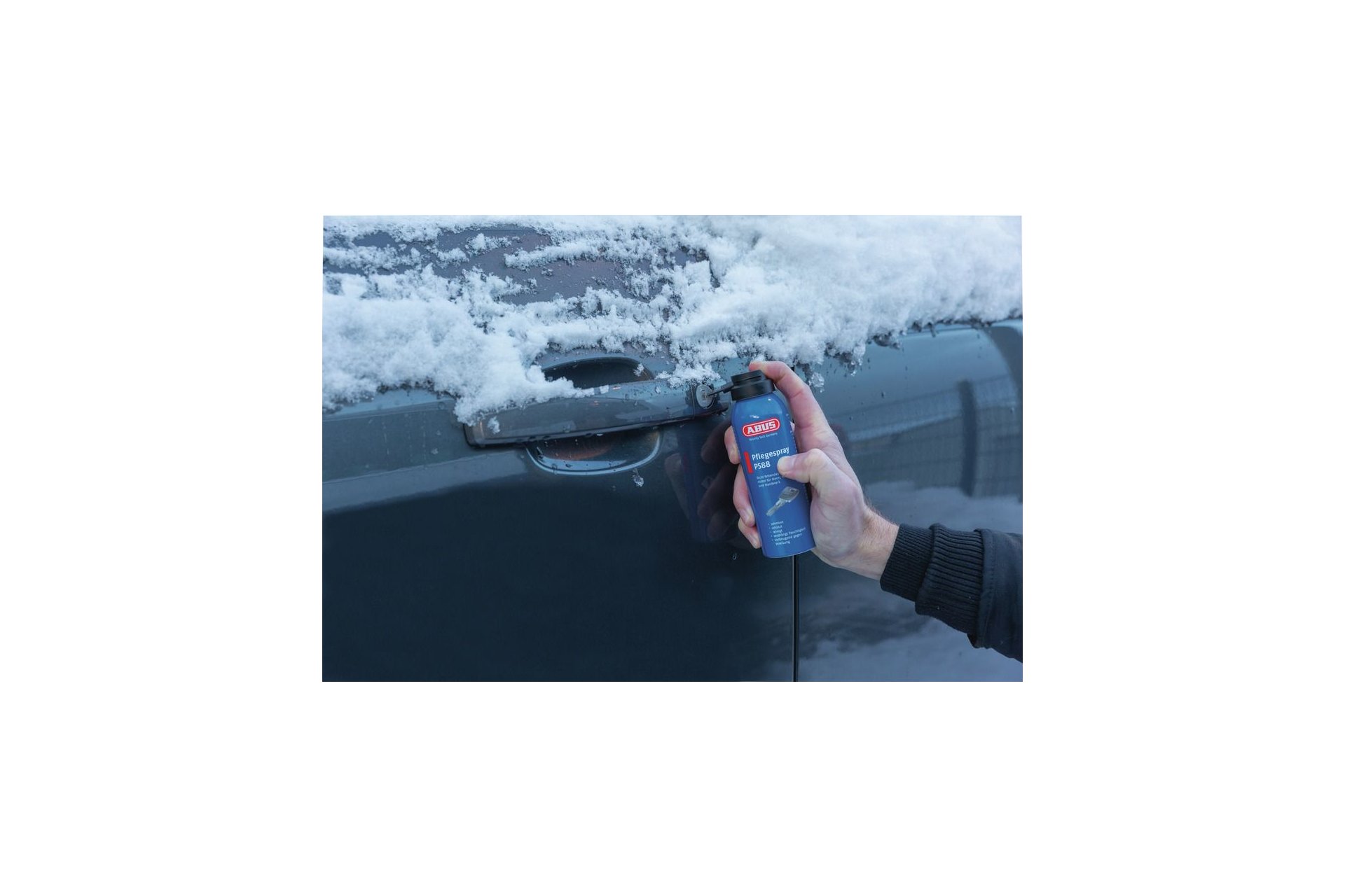 Abus Pflegespray PS88 300ml