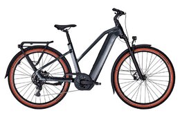 Kalkhoff Entice 5 Season 2 - 800 Wh - 29 Zoll - Trapez - 2026