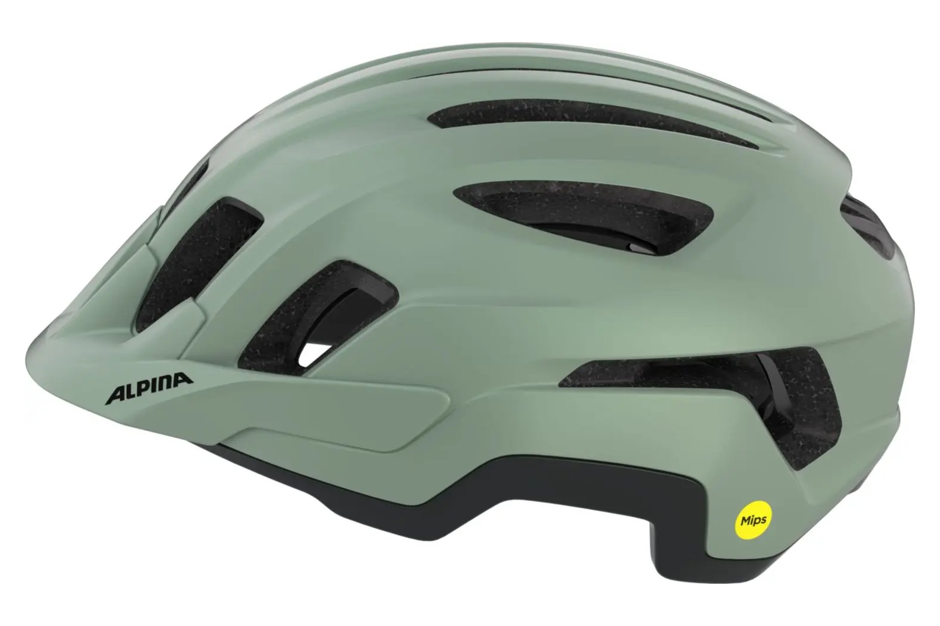 Alpina Paranus MIPS