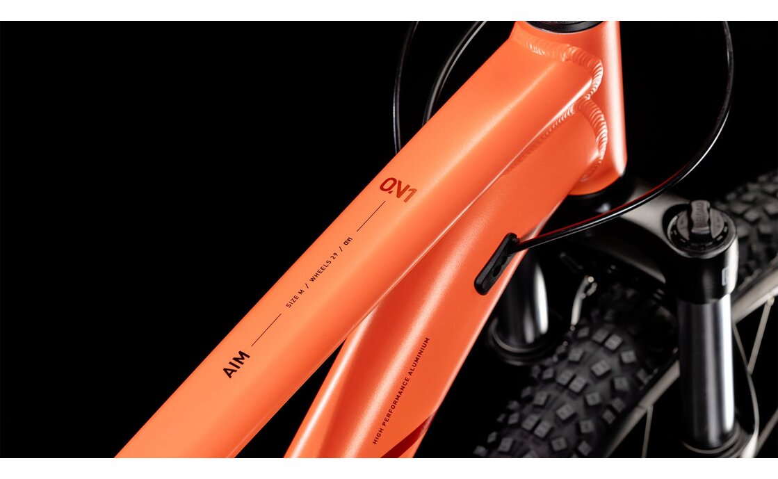 Cube Aim ONE - 29 Zoll - Diamant - 2025