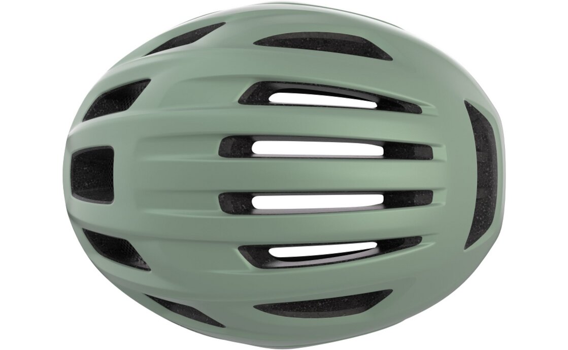 Alpina Paranus Urban