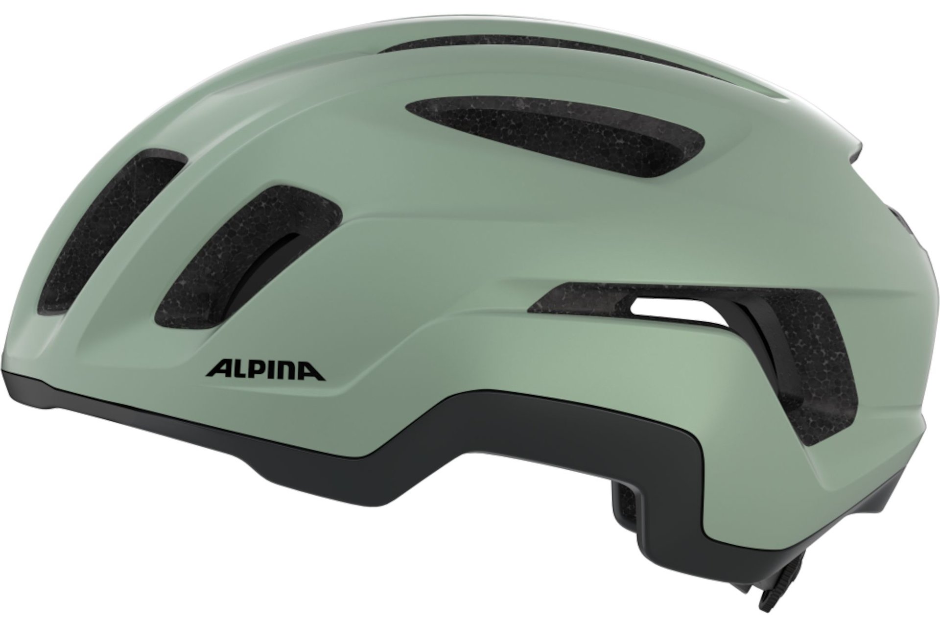 Alpina Paranus Urban