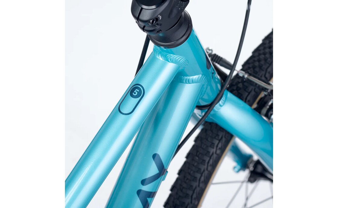 Academy Grade 5 - 24 Zoll - Diamant - 2026