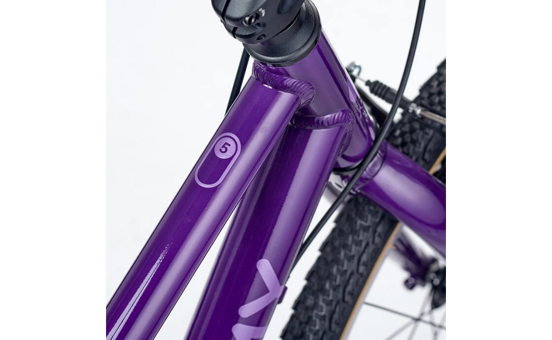 Academy Grade 5 - 24 Zoll - Diamant - 2026