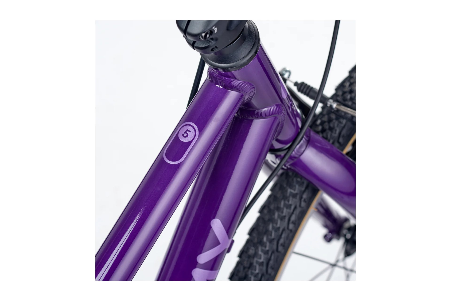 Academy Grade 5 - 24 Zoll - Diamant - 2026