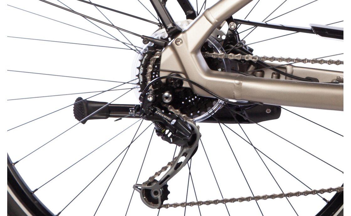 Carver Route E.420 - 500 Wh - 28 Zoll - Trapez