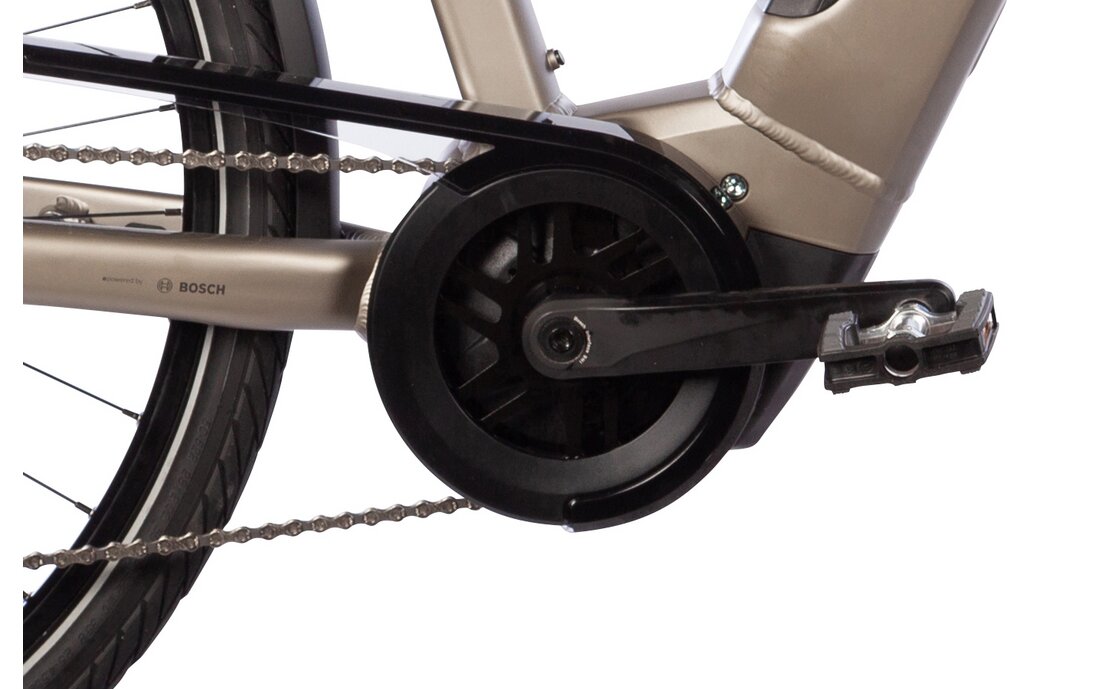 Carver Route E.420 - 500 Wh - 28 Zoll - Trapez