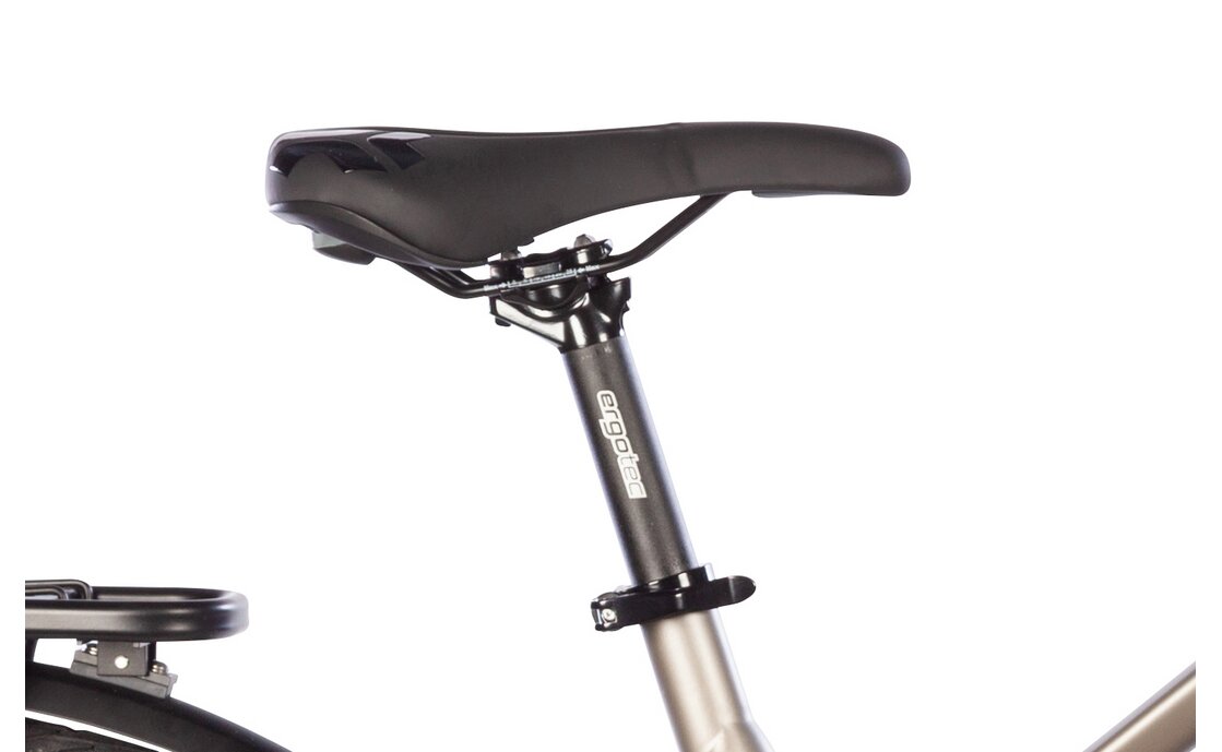 Carver Route E.420 - 500 Wh - 28 Zoll - Trapez