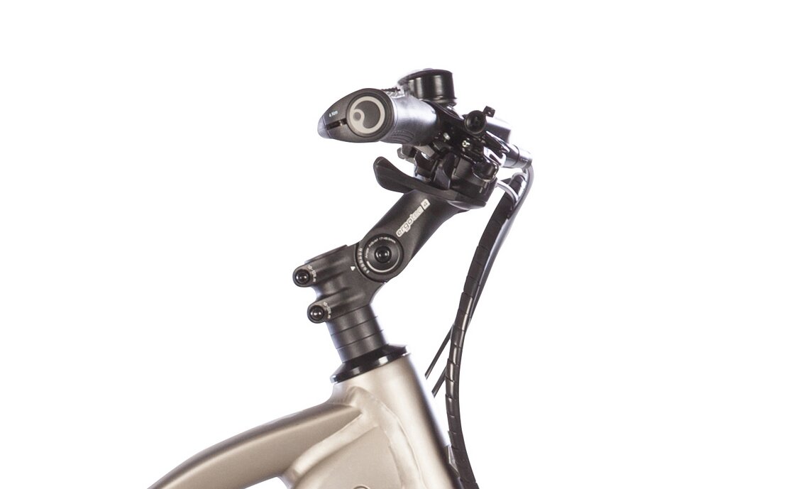 Carver Route E.420 - 500 Wh - 28 Zoll - Trapez