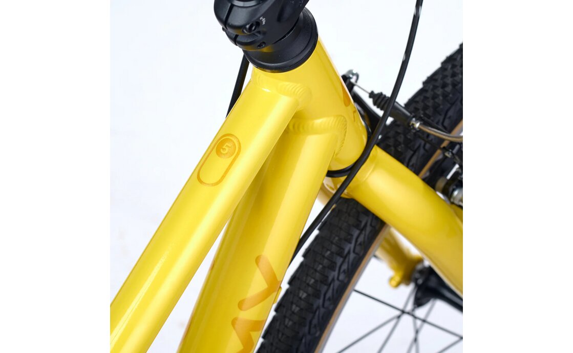 Academy Grade 5 - 24 Zoll - Diamant - 2026