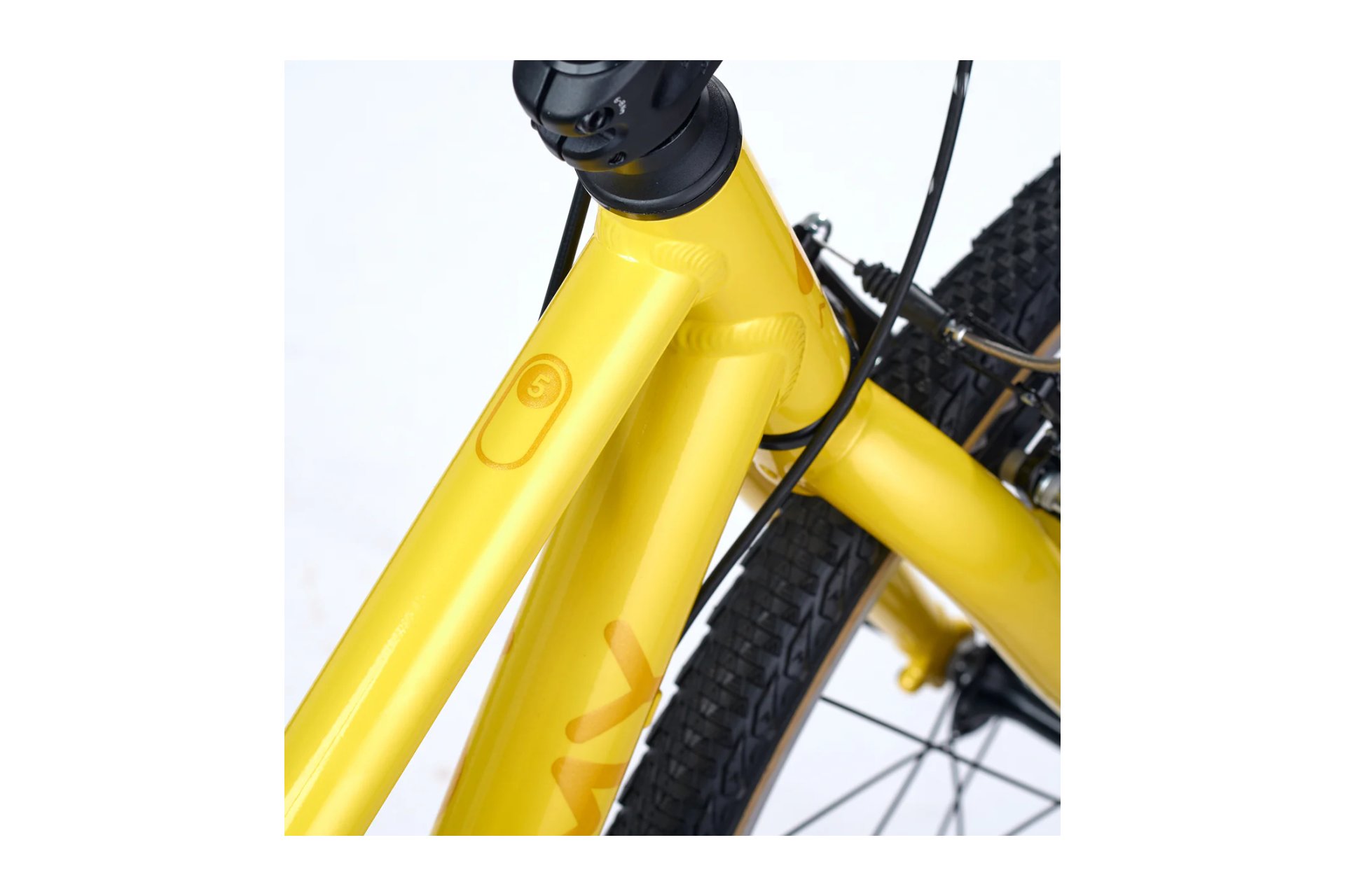 Academy Grade 5 - 24 Zoll - Diamant - 2026