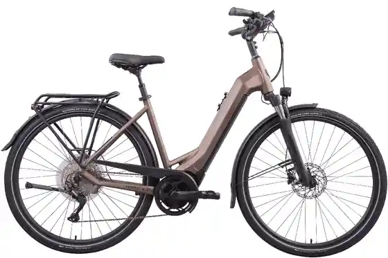 E-Trekkingbikes - Hercules Pasero Sport I-10 - 750 Wh - 28 Zoll - Tiefeinsteiger