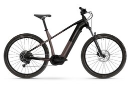 Haibike Alltrack 6 29 - 800 Wh - 29 Zoll - Diamant