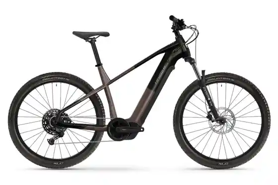 Kettenschaltung - E-Bike-Pedelec - Haibike Alltrack 6 - 800 Wh - 29 Zoll - Diamant