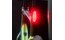 Supernova TL3 Pro E-25 Rücklicht - StVZO