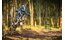 Endura MT500 Lite Knieprotektor