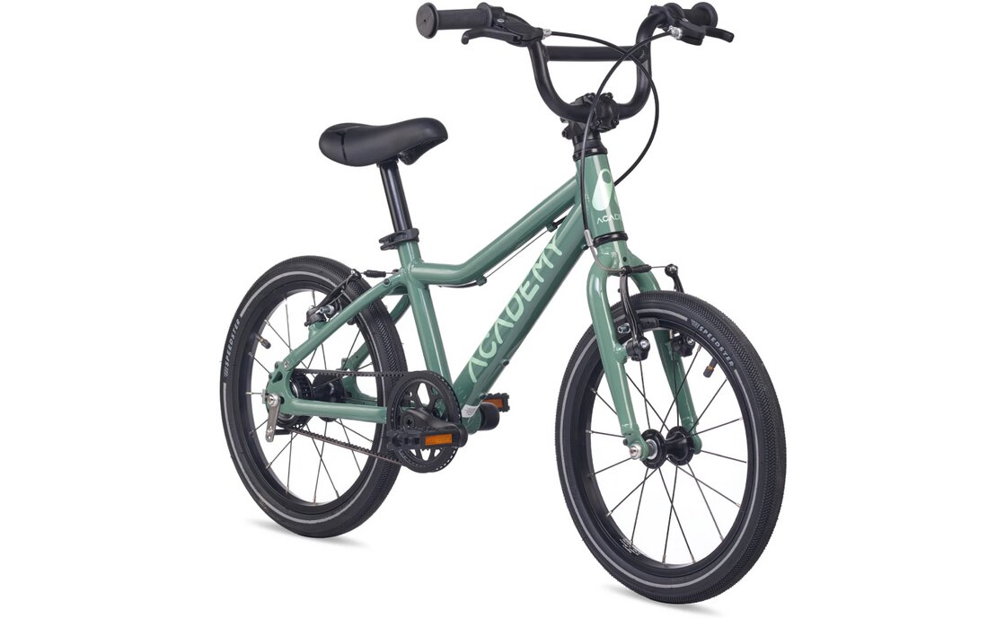 Academy Grade 3 Belt - 16 Zoll - Diamant - 2026