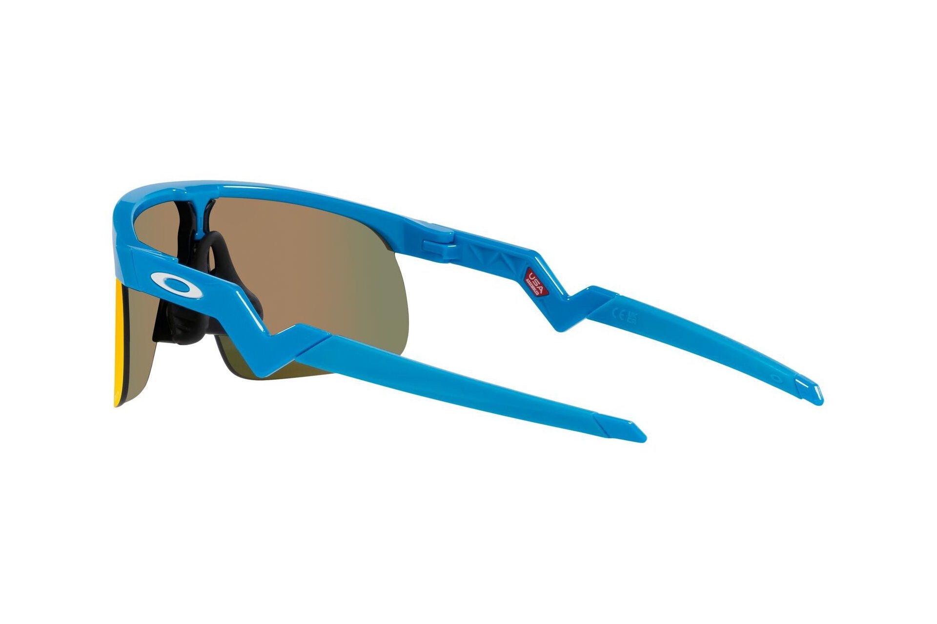 Oakley Resistor Sky Blue/Prizm Ruby