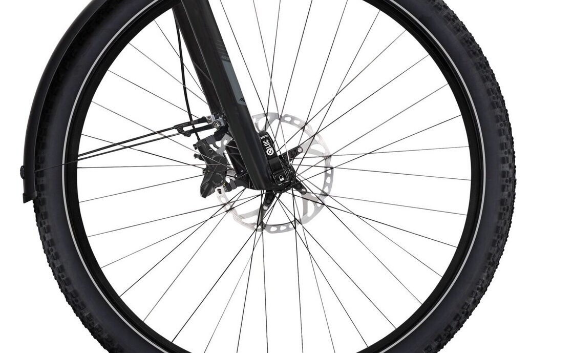 Flyer Gotour6 7.12 - 625 Wh - 28 Zoll - Tiefeinsteiger - Aktion