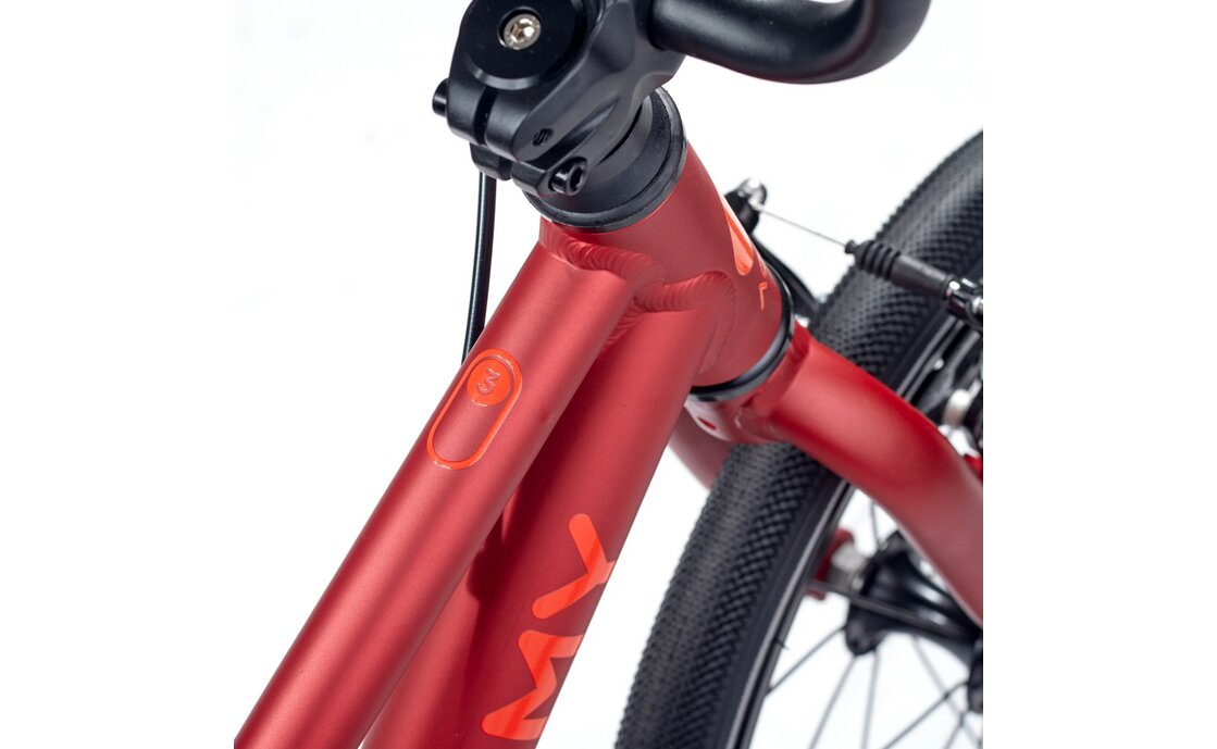 Academy Grade 3 Belt - 16 Zoll - Diamant - 2026