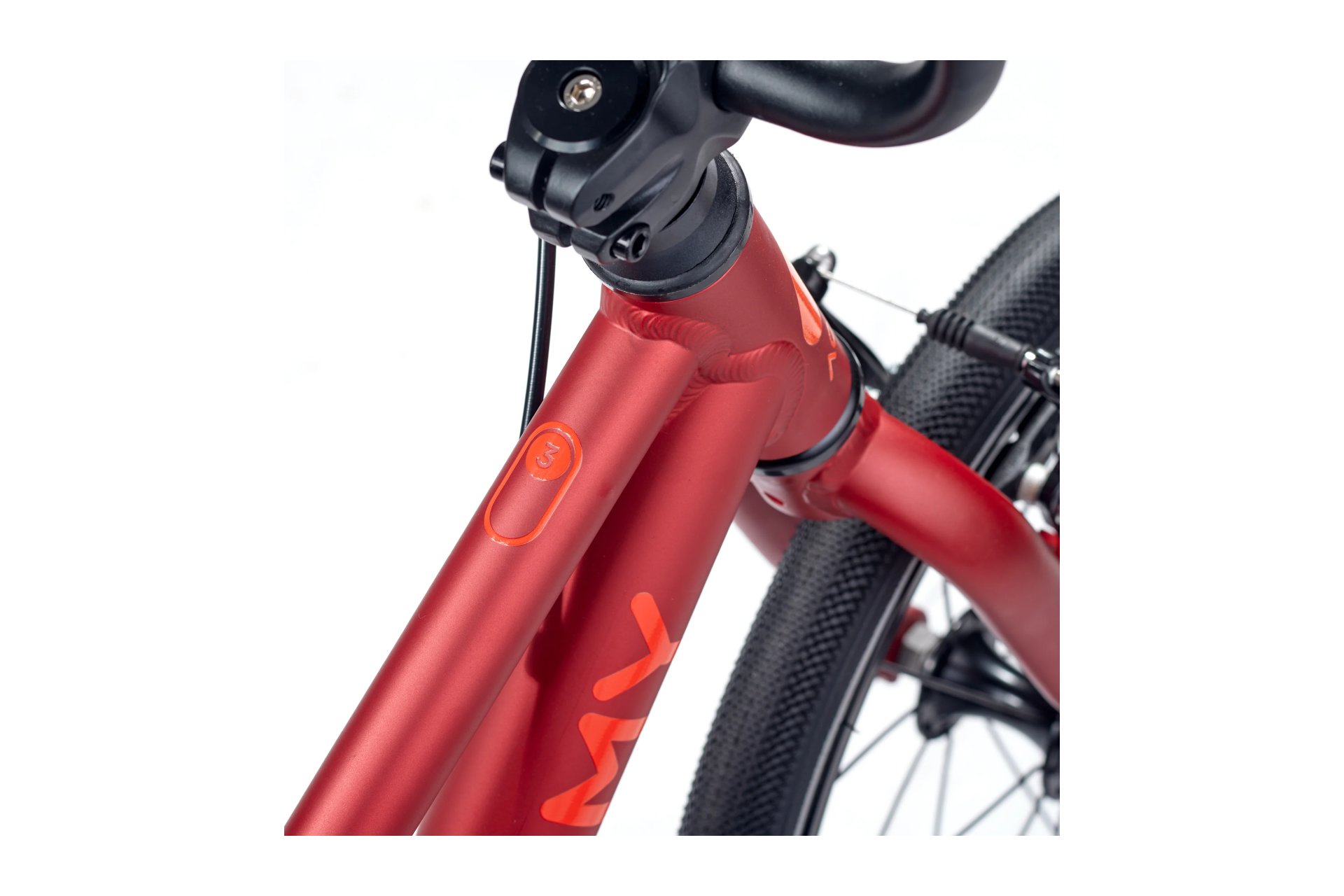 Academy Grade 3 Belt - 16 Zoll - Diamant - 2026