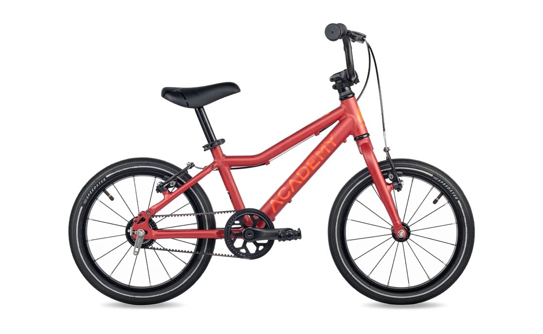 Academy Grade 3 Belt - 16 Zoll - Diamant - 2026