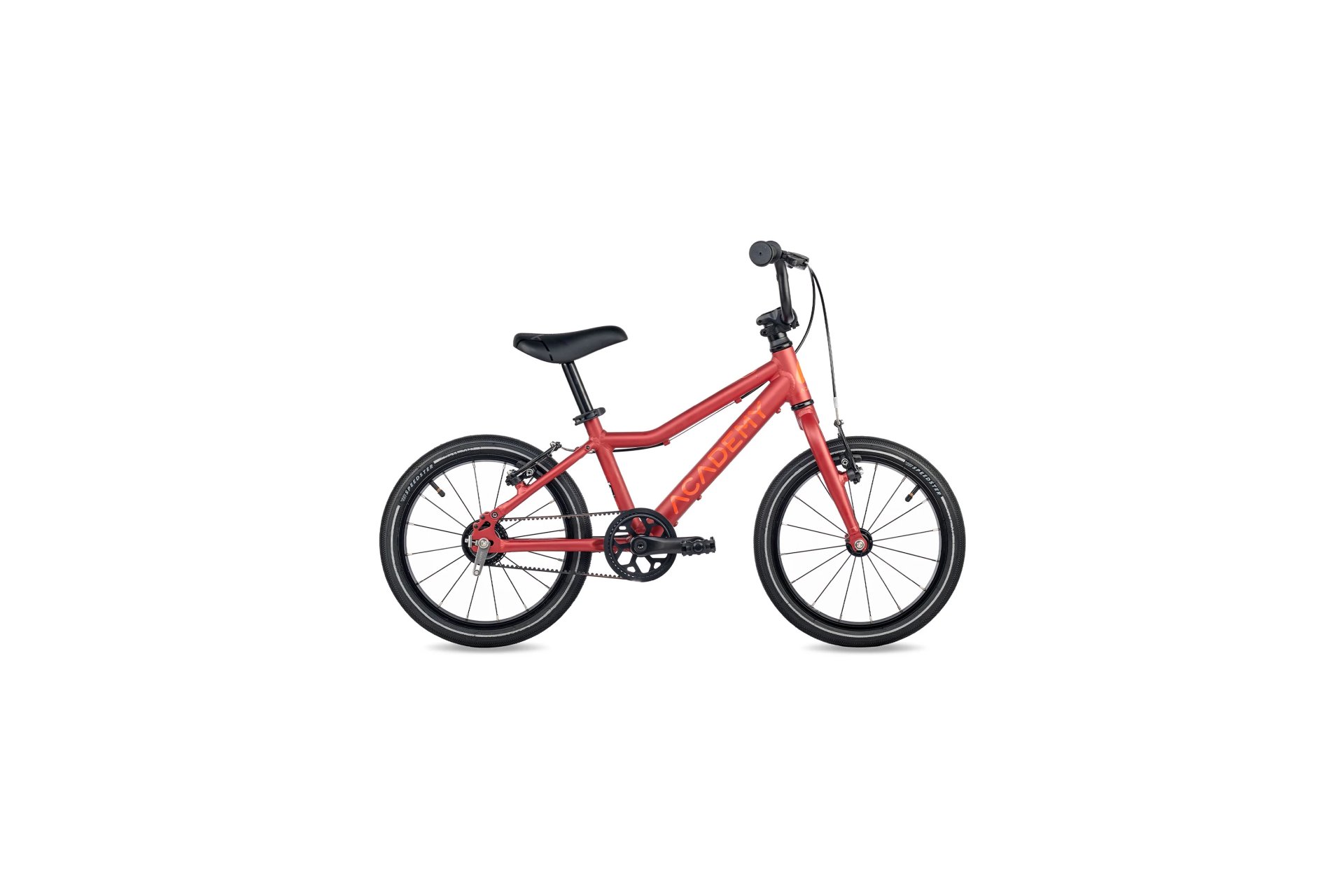 Academy Grade 3 Belt - 16 Zoll - Diamant - 2026