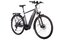 Carver Route E.440 - 500 Wh - 28 Zoll - Diamant - 2025