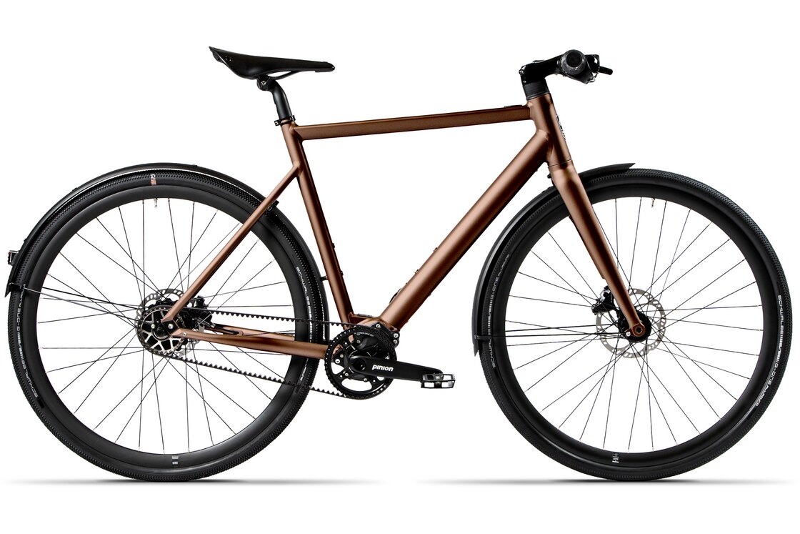 E Bike Mit Riemenantrieb Kaufen