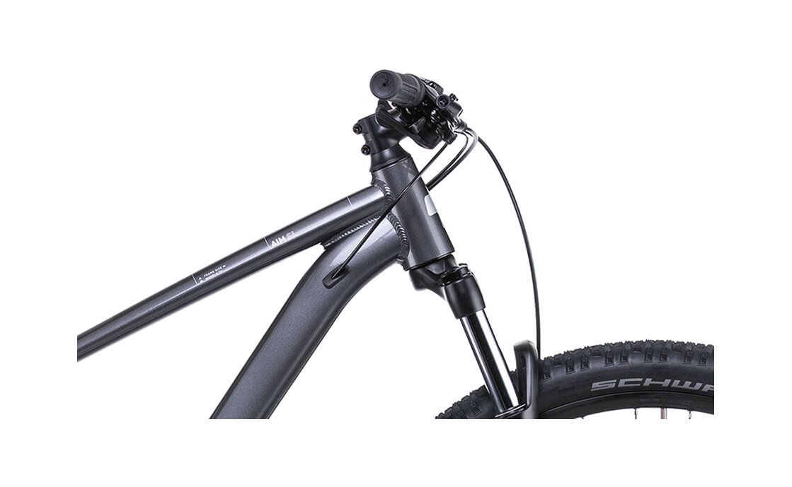 Cube Aim SL - 29 Zoll - Diamant - Aktion
