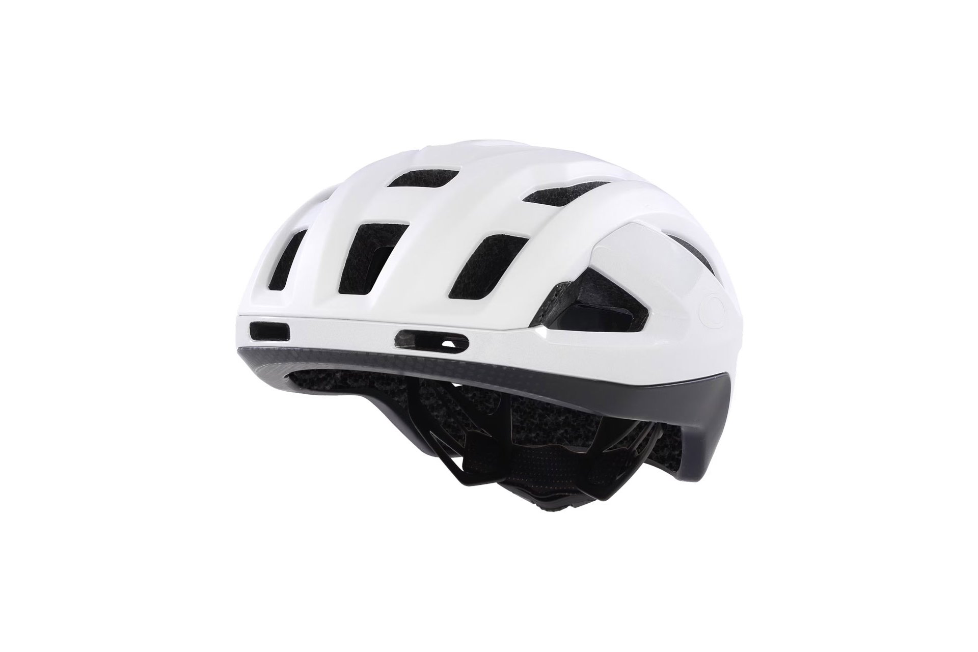 Oakley ARO3 Endurance I.C.E.