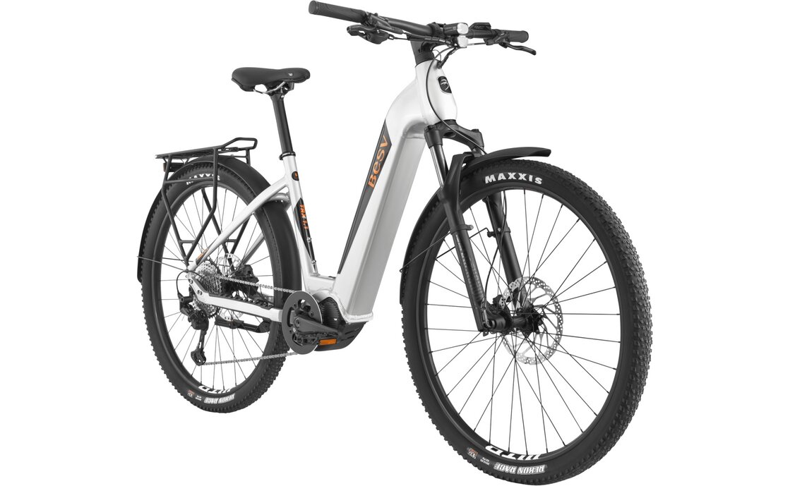 BESV TRX Urban 1.1 LS - 720 Wh - 29 Zoll - Tiefeinsteiger - Aktion