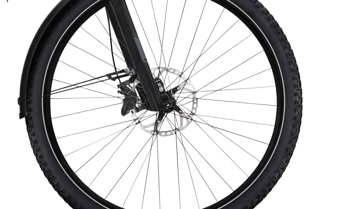 Flyer Gotour6 7.12 - 625 Wh - 28 Zoll - Diamant - Aktion