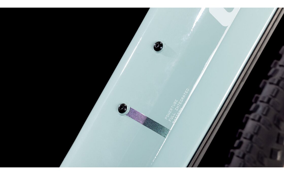 Cube Reaction Hybrid Performance 500 - 500 Wh - 29 Zoll - Damen Sport